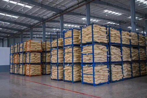 湖北省委書記一行考察卓寶石首生產基地，聚焦建筑材料產業高質量發展